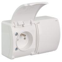 Gniazdo podwójne z/u (2x2P+Z) n/t IP44 VG 162-01, z klapką białą, białe, Koala | 61.380 Elektro-Plast Opatówek