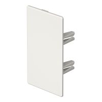 Końcówka bezhalogenowa 60x110mm, PC/ABS, czysta biel, 9010 WDKH-E60110RW | 6175566 Obo Bettermann