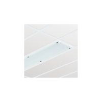 Oprawa ścienna/sufitowa CR250B LED 35S/840 PSU W30L120 IP65 | 910503910171 Philips
