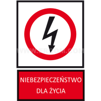 Tabliczka TZZ 105X148S napis: Niebezpieczeństwo dla życia | E04TZ-01031130100 Ergom