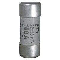 Wkładka topikowa cylindryczna CH22x58 aM 80A/500V | 002641023 Eti
