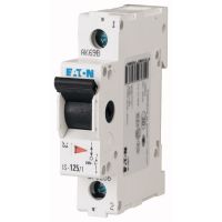 Rozłącznik główny izolacyjny 1P 16A, IS-16/1 | 276254 Eaton
