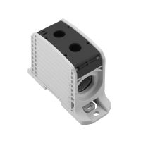 Złączka szynowa przelotowa WPD 133 1X300/1X300 BK | 2502890000 Weidmuller