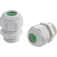 Dławnica kablowa SKINTOP ST-HF-M 25x1,5 RAL 7035 LGY | 53111437 Lapp Kabel