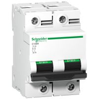 Wyłącznik nadprądowy C 120H 15KA D100 2P Acti 9 | A9N18502 Schneider Electric