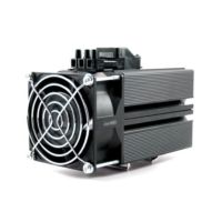 Grzałka SH 250W 230V AC/DC, IP20 | SH250L Depro Components