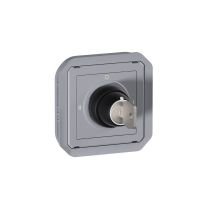 Łącznik na klucz 3 pozycje 10AX 250V IP55 (mechanizm) szary, Nowe Plexo | 069535L Legrand