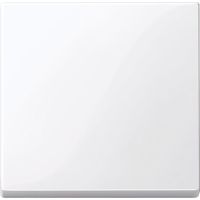 Klawisz pojedynczy biały, Merten | MTN432125 Schneider Electric