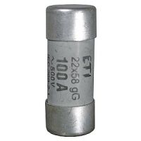 Wkładka topikowa cylindryczna 22x58mm 25A gG 690V CH22 (zwłoczna) | 002640013 Eti