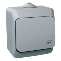 Przycisk "światło" jasno-szary, Cedar Plus | WDE000613 Schneider Electric