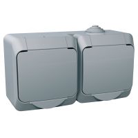 Gniazdo podwójne IP44 szare, Cedar Plus | WDE000622 Schneider Electric