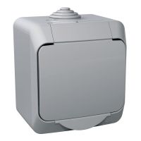 Gniazdo pojedyncze n/t z klapką IP44 jasno szare Cedar plus | WDE000640 Schneider Electric