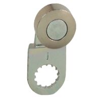 Dźwignia łącznika krańcowego XCKD z rolką stalową | ZCY26 Telemecanique Sensors