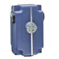 Łącznik krańcowy WYSOKA OBCIĄŻALNOŚĆ | XF9D651H29 Telemecanique Sensors