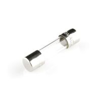 Bezpiecznik topikowy zwłoczny 1,6A | B-1,6 F&F