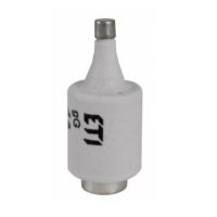 Wkładka topikowa 35A DIII gF / BiWts 500V E33 (szybka) | 002313101 Eti