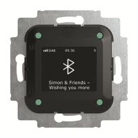 Busch-Radio, DAB+, BT, 8217 U-101-500 | 2CKA008200A0279 ABB