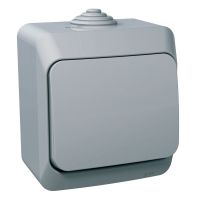 Łącznik 1P n/t IP44 jasno szary, Cedar plus | WDE000610 Schneider Electric
