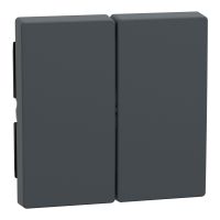 Klawisz podwójny, Merten, System M, antracytowy | 433514 Schneider Electric