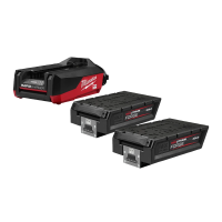 MXFFORGENRG-802FC FORGE™ Zestaw akumulatorów i ładowarki | 4932500037 Techtronic
