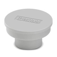 BPC 250 FT 35-70 CAP | 1635545 Phoenix Contact