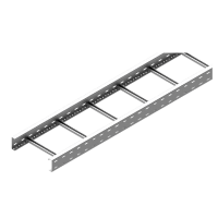 Drabinka DSC500H100/6 gr. blachy 2,0mm (6m) | 410256 Baks