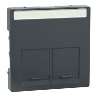 Płytka centralna podwójna do złącza RJ45 antracyt, Merten | MTN466514 Schneider Electric