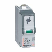 Wkład oranicznika T2 20 KA | 412297 Legrand