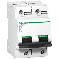 Wyłącznik nadprądowy C 120N 10KA C80 2P Acti 9 | A9N18361 Schneider Electric