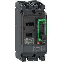 Wyłącznik, ComPacT NSX, NSX160M AC/DC, TM125D, 2P2D, 40kA | C16M2TM125 Schneider Electric