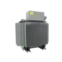 Transformator olejowy Minera 63KVA | WEG-1285447 Schneider Electric Transformer