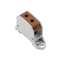 Złączka szynowa przelotowa WPD 130 1X50/1X50 BN | 2502560000 Weidmuller