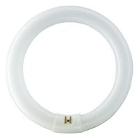 Świetlówka kołowa MASTER TL-E Circular 40W/830 G10Q | 928027483070 Philips
