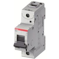 Wyłącznik nadprądowy 1P D 25A 25kA, S801C-D25 | 2CCS881001R0251 ABB