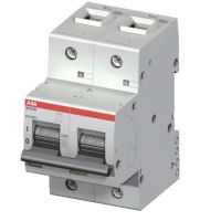 Wyłącznik nadprądowy 2P D 40A 16kA, S802B-D40 | 2CCS812001R0401 ABB