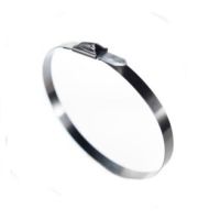 Opaska ze stali nierdzewnej 304 BB-1328 201x7,9 | BB-1328 Trytyt