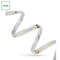 Pasek LED 24W/5m 3528 60LED/1m CW 2 latA ECO 1m (rolka 5m) w silikonie | WOJ+14405 Wojnarowscy